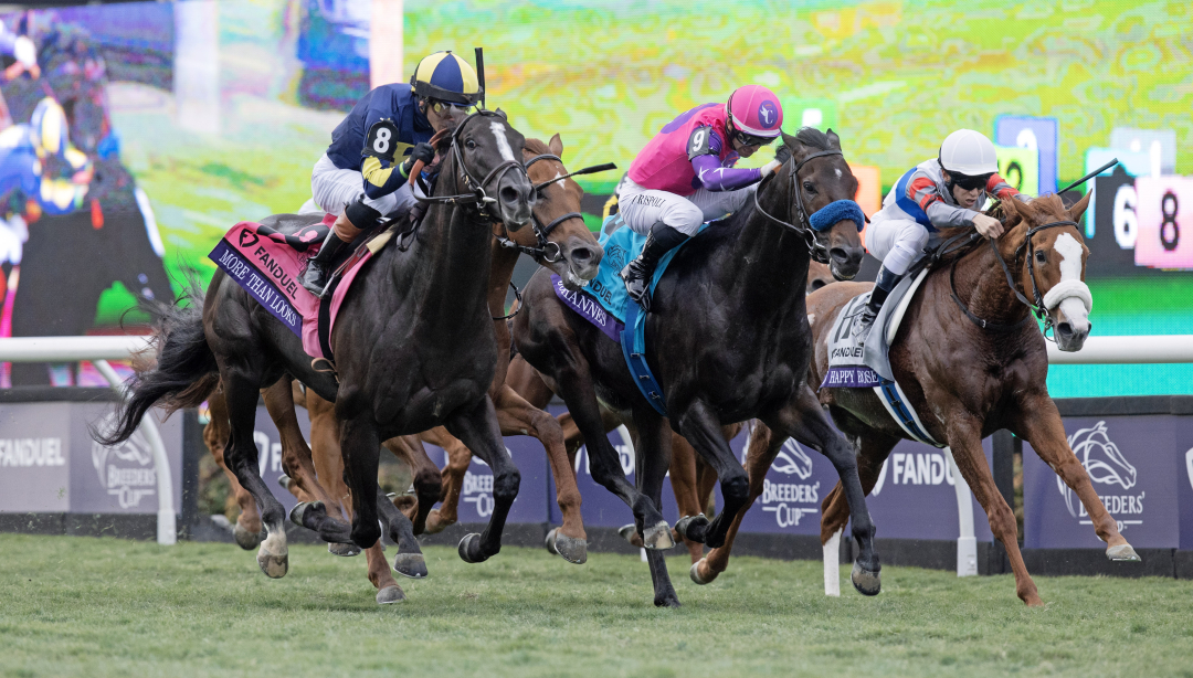 Breeders' Cup Mile More Than Looks finds winning touch at right time